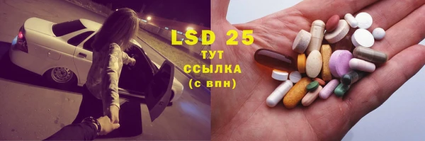 ПСИЛОЦИБИНОВЫЕ ГРИБЫ Балахна