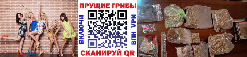 Галлюциногенные грибы Magic Shrooms  Павловская 